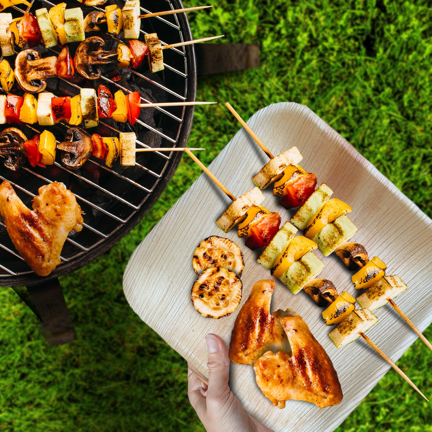 Eco-friendly , Sustainable ,Biodegradable , Palm leaf dinner plates ,Party plates