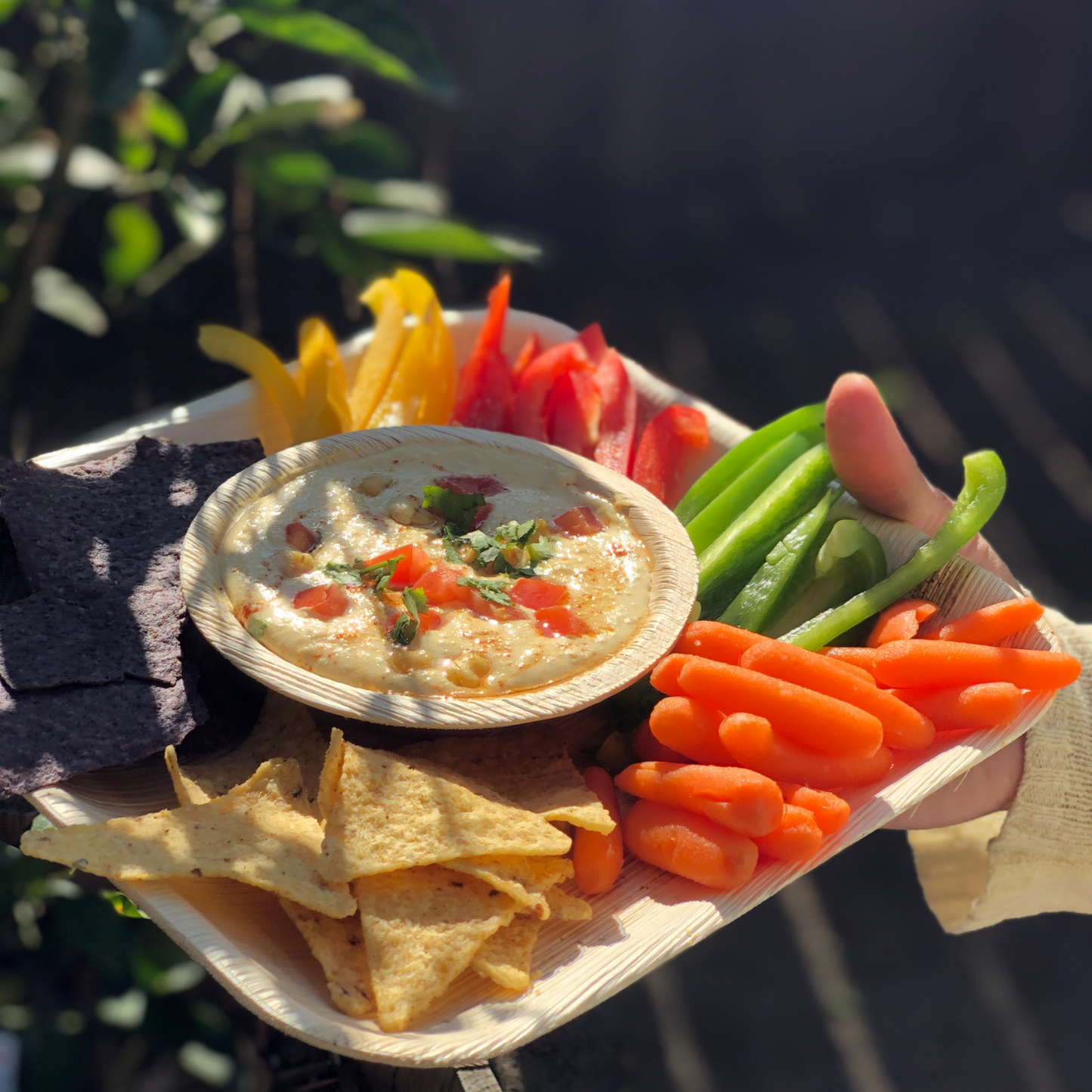 Eco-friendly , Sustainable ,Biodegradable , Palm leaf dinner plates ,Party plates