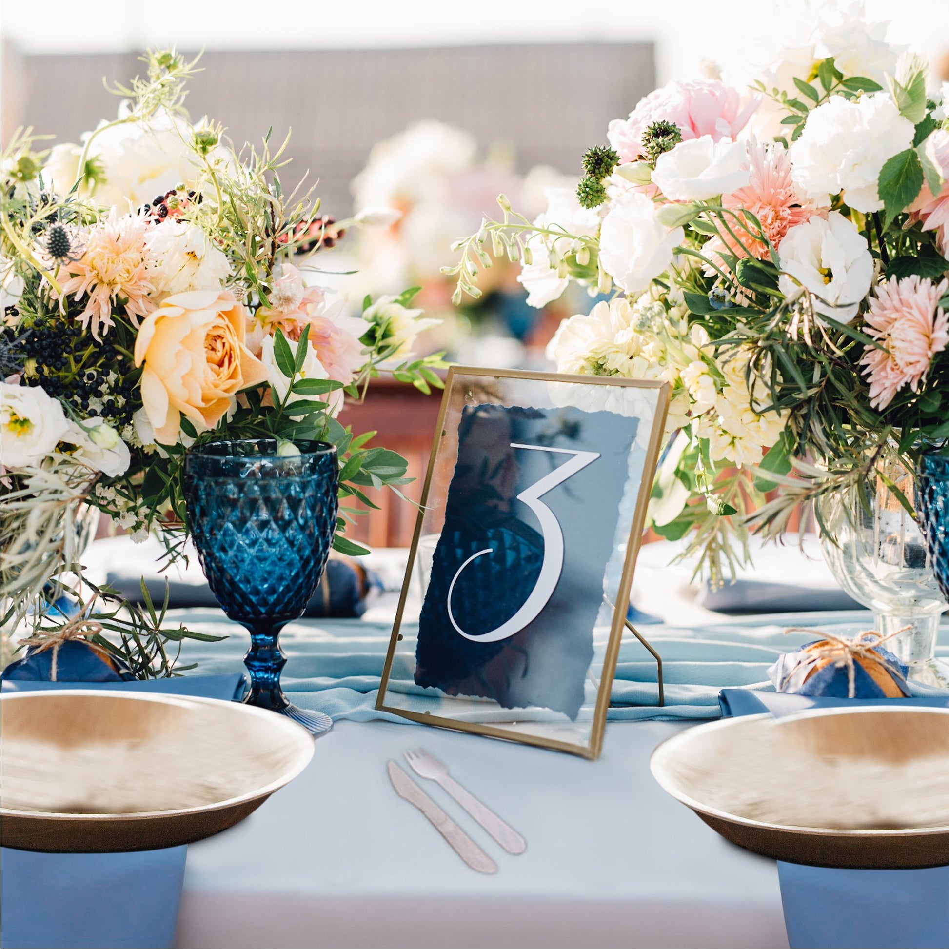 Eco-friendly , Sustainable ,Biodegradable , Palm leaf dinner plates ,Party plates