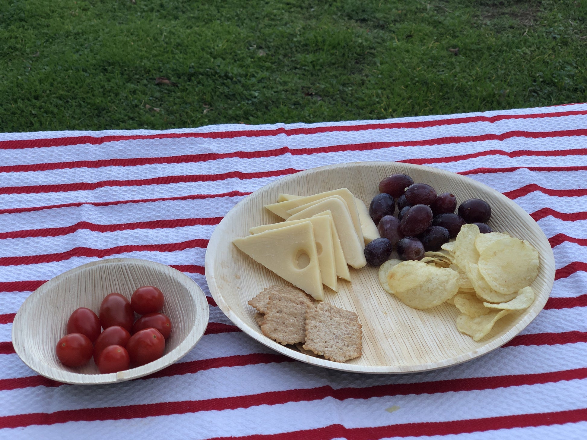 Eco-friendly , Sustainable ,Biodegradable , Palm leaf dinner plates ,Party plates