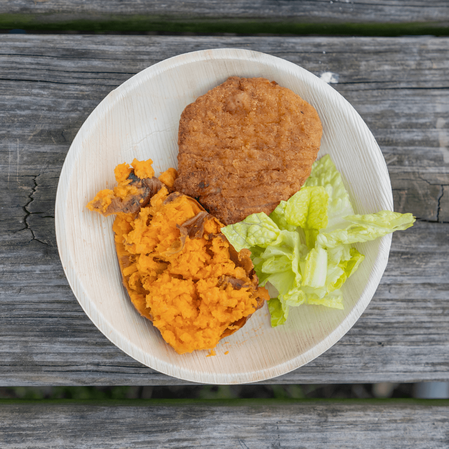 Eco-friendly , Sustainable ,Biodegradable , Palm leaf dinner plates ,Party plates